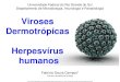 Viroses Dermotr³picas Herpesv­rus - ufrgs.br .Viroses Dermotr³picas Herpesv­rus humanos Fabr­cio