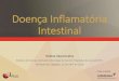 Doença Inflamatória Intestinal - updatemedicina.com§a... · Varicela Vacinar para febre amarela Estudo de vírus : B, C e HIV Tratamento: Corticoides Azatioprina ou Azatioprina+