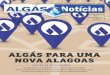 Algás Notícias 44-curvas-PDFWEB - algas.com.bralgas.com.br/wp-content/uploads/2016/12/Jornal-Algas-44.pdf · INDUSTRIAL clientes sendo 07 que utilizam o gás natural para geração