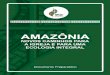 Livro - Metodologia Indigenascnbbsul3.org.br/wp-content/uploads/2018/08/Livro-Sínodo-Amazonia... · tes para a Igreja universal e para o futuro de todo o pla- ... quer fazer uma