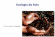 Ecologia do Solo - fcav.unesp.br · Ecologia do Solo •Ubiquidade dos micro-organismos –Versatilidade metabólica –Tolerância às condições ambientais adversas –Fácil dispersão