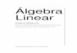Álgebra Linear - labma.ufrj.br gregorio/livro/al2.pdf · PDF fileAlguns outros livros de Álgebra Linear 173 33 2. Ferramentas de referência na internet 173 34 3. Recursos computacionais