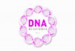 DNA - suacorrida.com.brsuacorrida.com.br/wp-content/uploads/sites/2/2017/01/dna_de_corredora_20141.pdf · Mix entre os métodos qualitativo e quantitativo para gerar o maior poder