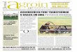 Agronegócio pode trAnsformAr - agroin.com.br fileBruto (PB) da agropecuária no sei - gundo trimestre de 2012, que cresceu 4,9% em relação ao primeiro trimestre do ano, mostra que