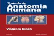 Tratado de Humana Anatomia atoa Anatomia aa Vishram Singh ... · TRAADO T DE ANATOMIA HUMANA Sgeunda Eção di Vishram Singh , MS, PhD, FASI Professor e Chefe do Departamento de Anatomia