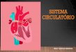SISTEMA CIRCULATÓRIO - irp-cdn.multiscreensite.com 4 - Sistema... · SISTEMA CIRCULATÓRIO •Formado pelo coração, vasos sanguíneos e o sangue. •Função da circulação do