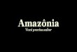 Amazônia - · PDF fileAmazônia Legal 61 % do Brasil -Conceito político-administrativo adotado na década de 1950 -Inclui 9 estados - Acre, Amapá, Pará, Amazonas, Rondônia, Roraima,