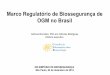 Marco Regulatório de Biossegurança de OGM no Brasil · Cartagena, Codex Alimentarius, Mercado Europeu, Novos mercados consumidores (China, Índia, principalmente), entre outros