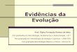 Evidências da Evoluçãoblog.cpbedu.me/.../uploads/sites/273/2018/06/Evidencias-evolutivas.pdfDarwin foi o primeiro a propor que humanos e macacos tinham estreitas relações evolutivas;