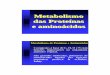 Metabolismo das Proteínas e aminoácidosevz.ufg.br/up/66/o/metprotaminoac2010.pdf · Metabolismo das Proteínas e aminoácidos Compostos à base de C, H, O e N com funções importantes