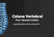 Coluna Vertebral - Gerardo Cristino · Coluna Vertebral Estrutura Geral Composição Vértebras Cervicais, torácicas, lombares, sacrais, coccígeas Disco intervertebral Anfiartrose