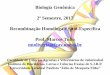 Biologia Genômica 2º Semestre, 2017 Recombinação Homóloga … · 2017-10-02 · Biologia Genômica 2º Semestre, 2017 Recombinação Homóloga e Sítio-Específica Prof. Marcos