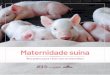 Maternidade suína - agricultura.gov.br · Ministério da Agricultura, Pecuária e Abastecimento. Maternidade suína : boas práticas para o bem-estar na suinocultura / Ministério