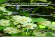 Guia Prático para a Identificação de Plantas Invasoras em ... pratico.preview.pdf · Para além de um profundo reconhecimento a todos os que colaboraram no “Guia Prático para