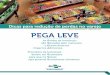PEGA LEVE · 2019-10-16 · PEGA LEVE. Sobre as perdas Hortaliças e frutas são produtos vivos, que respiram e muitas vezes percorreram grandes distâncias para chegarem ao seu destino