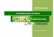 OLERICULTURA - Instituto Formaçãoifcursos.com.br/sistema/admin/arquivos/19-35-46-apostila0lericultura.pdf · 4 - Trinta dias após a emergência aplica-se 50 g de sulfato de amônio/planta