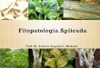 Apresentação do PowerPoint · Fitopatologia é a ciência que estuda as doenças de plantas, abrangendo todos os seus aspectos, desde a Sintomatologia e Diagnose, Etiologia, Epidemiologia,