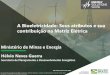 A Bioeletricidade: Seus atributos e sua contribuição na ... · Hélvio Neves Guerra Secretaria de Planejamento e Desenvolvimento Energético São Paulo, 29 de maio 2019 Este documento
