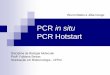 PCR in situ PCR Hotstart - Vantagens: Esse procedimento aumenta a especificidade da PCR, pois a DNA