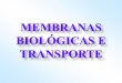 MEMBRANAS BIOLÓGICAS E TRANSPORTE · 2013-06-08 · membrana diminuem a energia requerida para o transporte é o mecanismo utilizado para o transporte de soluto e metabólitos nos
