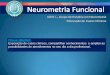 GEN I Grupo de Estudos em Neurometria Discussão de Casos ... · Exposição de casos clínicos, compartilhar conhecimentos e ampliar as possibilidades de atendimentos no seu dia