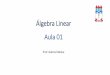 Álgebra Linear Aula 01 - WordPress.com · Teoria O produto das matrizes x e x existe se, e somente se, =𝑝. Se = , cada elemento é obtido pelo produto da linha de