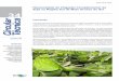 Necessidade de Irrigação Complementar da Soja na Região Sul de … · 2017-08-16 · ISSN 1679-0464 Necessidade de Irrigação Complementar da Soja na Região Sul de Mato Grosso