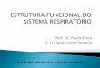 Prof. Dr. Paulo Evora Ft. Luciana Garros Ferreirarca.fmrp.usp.br/wp-content/uploads/sites/176/2017/06...O controle da respiração é importante para manter uma concentração adequada