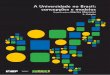 A Universidade no Brasil: concepções e modelosflacso.redelivre.org.br/files/2012/07/341.pdfpaises, com abordagens teóricas, disciplinares, transdisciplinares e enriquecida pela