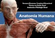 Anatomia Humana - BD Clínica Odontológica · O corpo humano é uma máquina complexa, interligada e com orgãos capazes de realizar atividades de forma independente