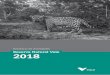 Reserva Natural Vale 2018 · 2019-11-18 · RESERVA NATURAL VALE RELATÓRIO DE ATIVIDADES 2018 INSTITUTO AMBIENTAL VALE Gleuza Jesué Diretora Presidente Patrícia Fagundes Daros