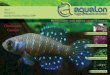 Distribuição Gratuita · 2017-12-05 · do no livro “Aquapaisagismo Introdução ao Aquário Plantado” que acabou sendo lançado no dia 22 de no-vembro de 2008, no grande Encontro