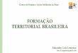 FORMAÇÃO TERRITORIAL BRASILEIRA · Formação do Território Brasileiro Os contornos do nosso país nem sempre foram como atualmente. Muitas terras que pertencem, atualmente, ao