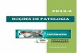 2012 - Instituto Formaçãoifcursos.com.br/.../09-19-15-apostilanocoesdepatologia.pdf · 2012-12-01 · hipertrofias, hiperplasias, hipoplasias, metaplasias, displasias e neoplasias)