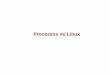 Processos no Linux - professor.pucgoias.edu.brprofessor.pucgoias.edu.br/SiteDocente/admin/arquivosUpload/17505/... · Controle de processo Um processo é um programa em execução