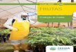 FRUTAS...Coleção | SENAR 8 Produção de mudas O Brasil possui um setor frutícola com elevado potencial de crescimento devido a sua extensão territorial e condições climáticas