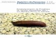 Estabelecimento de Progênies de Jatobá (Hymenaea spp ... · Frutos foram coletados de sete árvores de jatobá (Hymenaea spp.), em setembro de 1990, no Município de Formosa, GO,