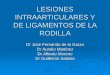 LESIONES INTRAARTICULARES Y DE LIGAMENTOS DE LA RODILLA · 2013-12-11 · ANATOMIA Rotula Tercer mes de vida intrauterina Osificación cuarto año (2 o 3 ) Término de la osificación