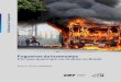 Fogueiras da insensatez Por que queimam os ônibus no Brasil · O Brasil enfrenta ainda um tipo de violência muito peculiar, que não faz par-te da realidade de outros lugares do