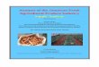 Analysis of the Jamaican Fresh Agricultural Produce of the...¢  70% ¢â‚¬¯ 80% of imports of fresh agricultural