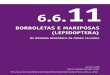 BORBOLETaS E maRIPOSaS (LEPIDOPTERa) · 2019-02-19 · 315 BORBOLETaS E maRIPOSaS (LEPIDOPTERa) Da RESERVa BIOLóGIca DE PEDRa TaLHaDa 6 .6 .11 InTRODuçãO A Ordem Lepidoptera é