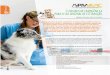 Cuidados de emergência para o seu animal de estimação · 2019-07-29 · MIAU Magazine 17 MI AU Mag azine Os animais de estimação gravemente feridos e com dor podem agir de forma