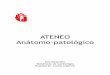 ATENEO Anátomo-patológicocardiolatina.com/wp-content/uploads/2019/03/ENDOMIO... · 2019-03-03 · ATENEO ANÁTOMO-PATOLÓGICO HOSPITALARGERICH RESIDENCIA CARDIOLOGiA ALEJANDRO KIM