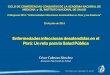 CICLO DE CONFERENCIAS CONJUNTAS DE LA ACADEMIA … · Mayaro (1995) Rabia Silvestre (1990-97) Tifus (1990-98) Oropouche (1994) Bartonelosis ... Promovimos el uso de terapia combinada