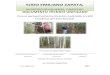 EJIDO EMILIANO ZAPATA,sinat.semarnat.gob.mx/dgiraDocs/documentos/CUSF/04L...DOCUMENTO TÉCNICO UNIFICADO Para el aprovechamiento forestal maderable en 600 hectáreas del área forestal