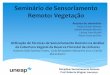 Seminário de Sensoriamento Remoto: Vegetação · 2015-06-11 · Área de Estudo Disciplina: Sensoriamento Remoto Prof. Roberto Wagner Lourenço A área de estudo corresponde à