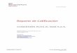 Reporte de Calificación - BRC cal-p-for-10 r18 RutaMar CI2017... · 2018-02-19 · licencias ambientales y la adquisición de derechos de vía; (c) el contrato de concesión incluye