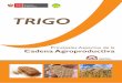 TRIGOagroaldia.minagri.gob.pe/biblioteca/download/pdf/agroeconomia/agroeconomia_trigo.pdfEl trigo forma parte del consumo básico de la población peruana, pero la producción es deficitaria