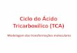 Ciclo do £¾cido Tricarbox£­lico (TCA) TCA Complexo piruvato desidrogenase 3 enzimas 5 coenzimas (NAD,