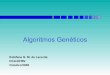 Algoritmos Gen£©ticos 2018-12-07¢  Algoritmos Gen£©ticos Algoritmos Gen£©ticos S££o t£©cnicas de busca